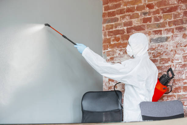Best Biohazard Mold Removal  in Mountain Home, NC