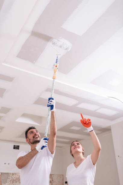 Best Attic Mold Removal  in Mountain Home, NC