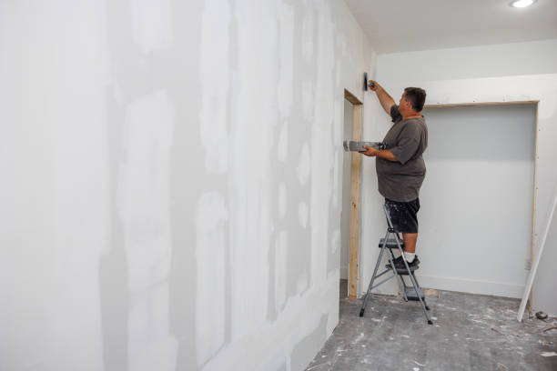 Best Post-Construction Mold Inspection  in Mountain Home, NC