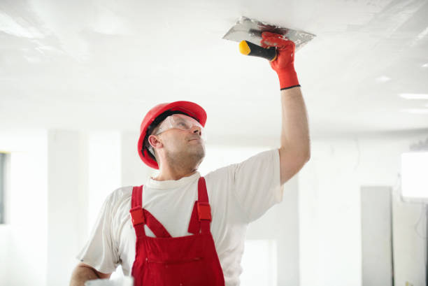 Mountain Home, NC Mold Removal Company