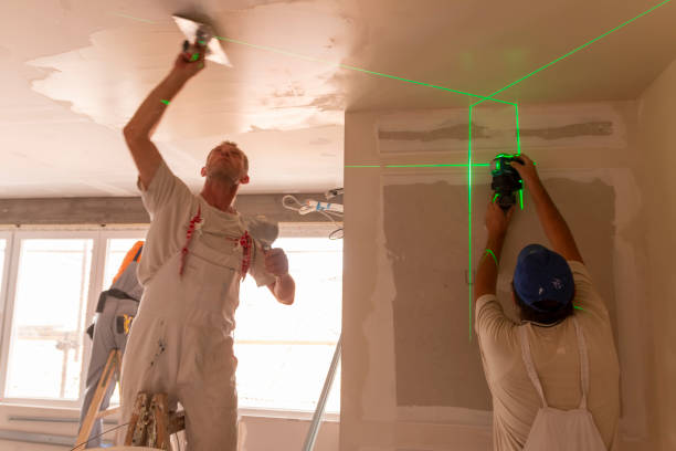 Best Emergency Mold Remediation  in Mountain Home, NC