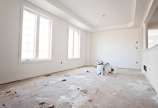 Best Black Mold Removal  in Mountain Home, NC