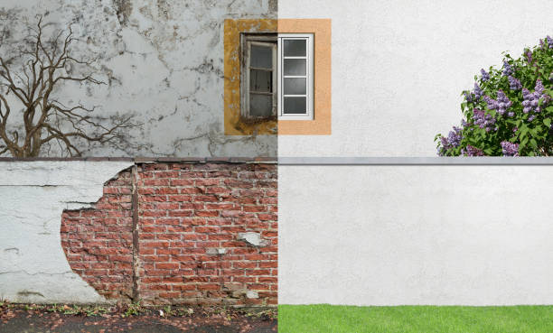 Best Mold Remediation for Healthcare Facilities  in Mountain Home, NC