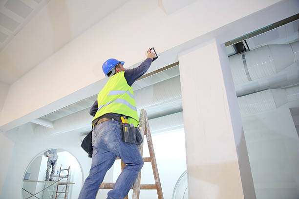 Best Mold Damage Restoration  in Mountain Home, NC