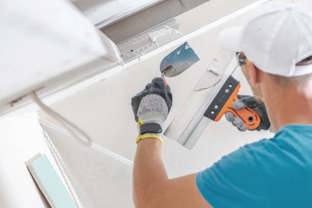 Best Biohazard Mold Removal  in Mountain Home, NC